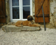 Chemin0603 009