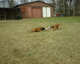 V-Wurf 290303_02 010