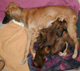 Baby9
