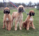 Wilson,Xena,Washana2