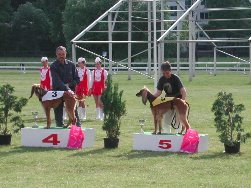 WM2005MlBoleslav_afghanen_huendinnen10