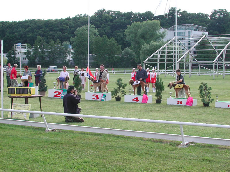 WM2005MlBoleslav_afghanen_huendinnen12