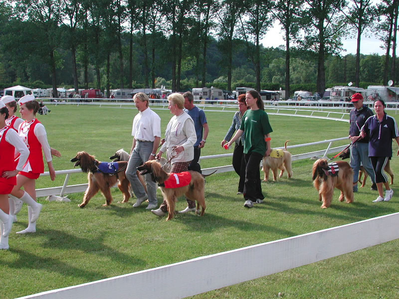 WM2005MlBoleslav_afghanen_rueden2