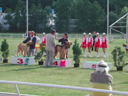 WM2005MlBoleslav_afghanen_rueden11